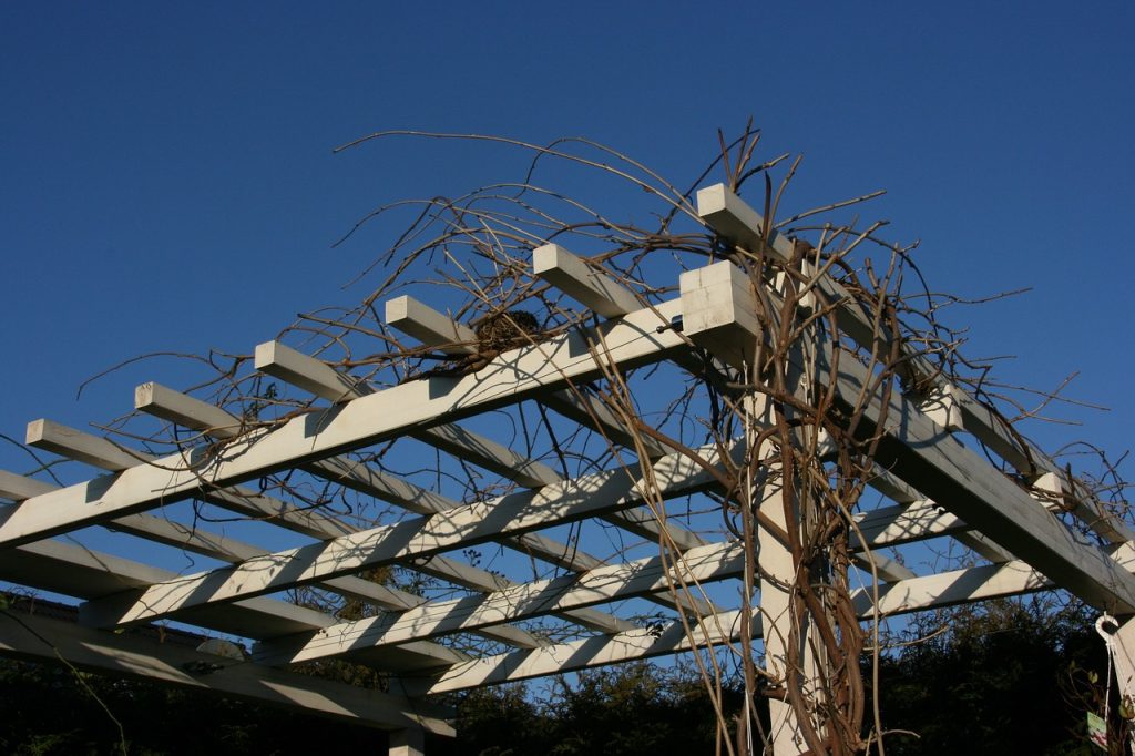 Installation d’une pergola sur mesure à Colmar dans le Haut-Rhin